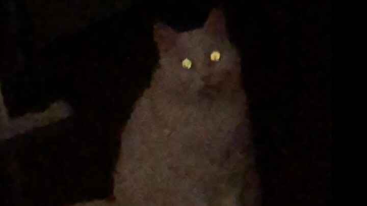 The erhu duo was broken up, and Da Mi glared angrily and walked away (Question: How many different k