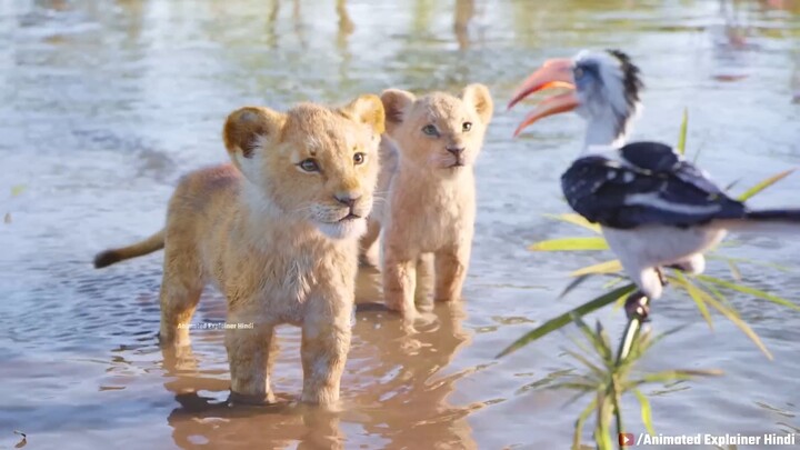 Simba, Avenges the Murder of his Father Mufasa and Becomes a True King. Summariz
