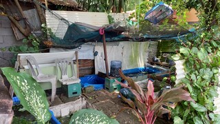 My Dad's Fish Pond