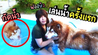 ฟองหิว..พาไซบีเรียนเล่นสระน้ำครั้งแรก!!