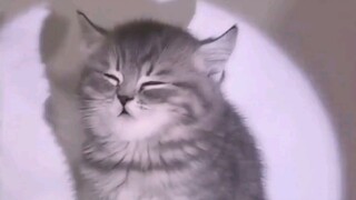 Muda-mudi tidur setiap hari, tua-tua menangis berlinang air mata