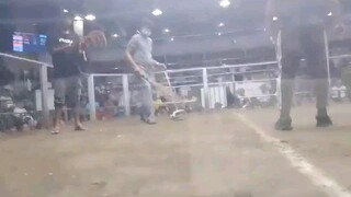 2nd fight win uli..