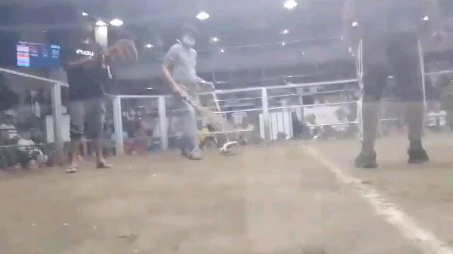 2nd fight win uli..