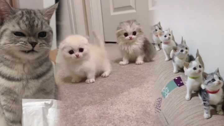 คุณกำลังทำอะไรอยู่!