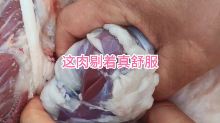 Gỡ thịt này thật sướng tay