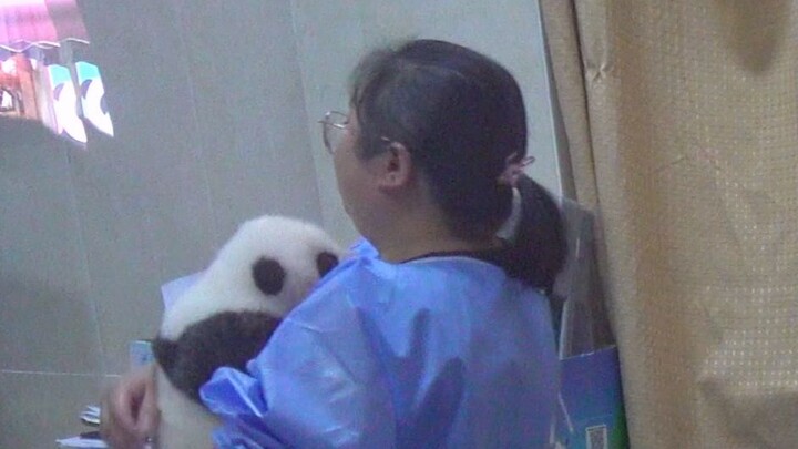 The panda keeper looks as casual as the neighbor next door who’s just heading downstairs to take the