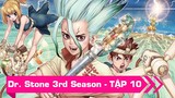ALL IN ONE | Tiến Sĩ Hóa Đá Mùa 3  Tập 9 : Dr Stone Season 3  || Tóm Tắt Anime || Tiếp Tập 10 + 11