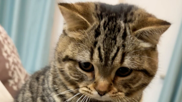 Di sini dilarang menyimpan rahasia nasi isi ayam!