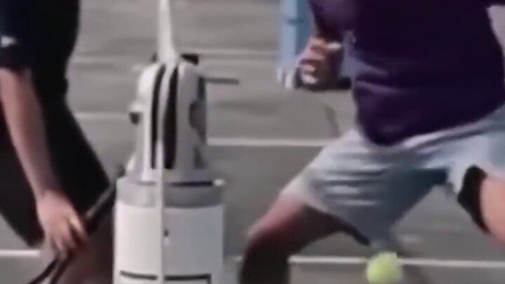 【Funny Daily Life of Earth Creatures #167】