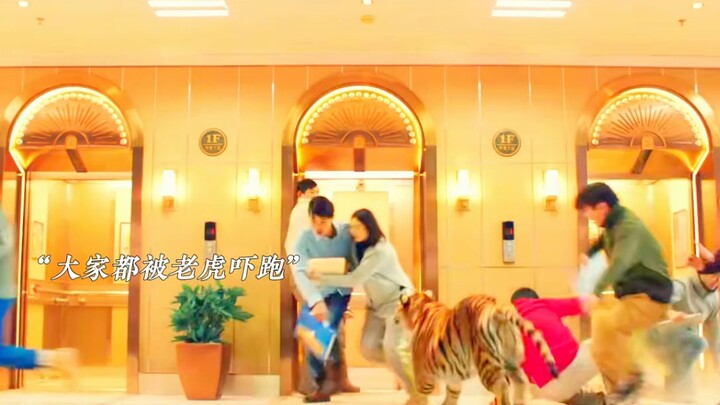 The tiger Mom raised from childhood—no matter how dangerous your surroundings, Mom will always prote