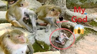 My God!! Mama Monkey Pull Tail Her Baby No Move To Play, Baby Monkey Was Pulled Tail By Mum