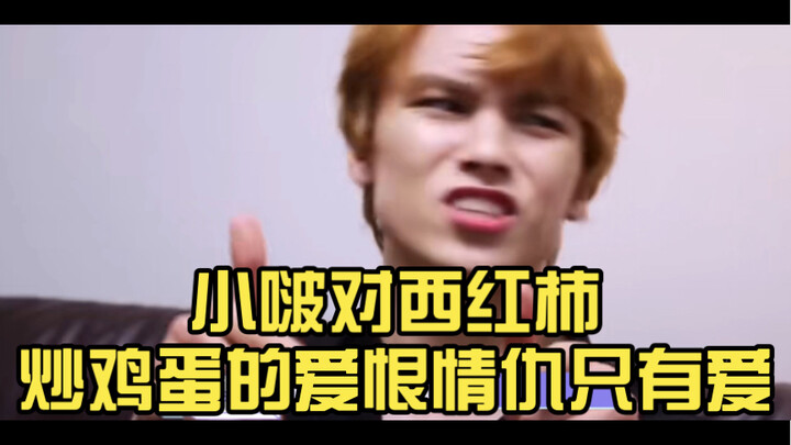 【تشوي هان شواي】علاقة الحب والكراهية (بس مش حقًا!) بين شياو بو وطبق الطماطم مع البيض: في النهاية، لا 