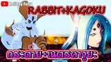 ✅[เทคนิคพิเศษ] กระต่าย+เนตรคางูยะ | Shindo Life | Roblox