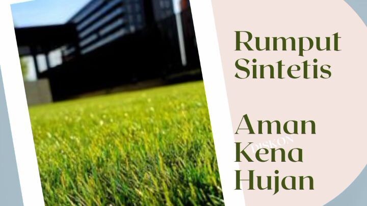 Rumput Sintetis Aman Kena Hujan