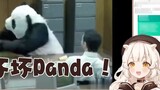 Quảng cáo lolita của Nhật Bản xem Angry Panda Quảng cáo này có độc
