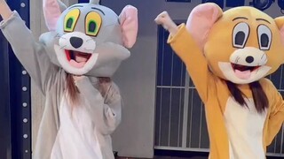 【昕羊】猫和老鼠丨昕DY