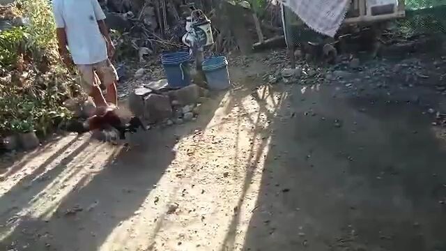 binatilyo unang bitaw