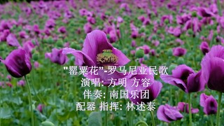“罂粟花” - 罗马尼亚民歌 演唱: 方明 方容 伴奏: 南国乐团 配器 指挥: 林述泰 广州唱片公司录音