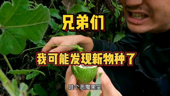 Guys, I might have discovered a new species—shouldn’t it be named after me?