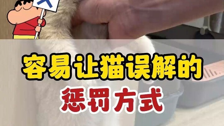 The cat has no idea you are punishing it.