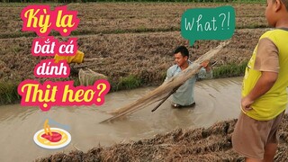 #134: Hai anh em đi đặt đuôi chuột kiếm mớ tép rong về chiên bột ai dè dính 1 kí thịt heo quá đã