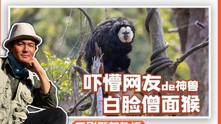 简 单  的 出 来 吓 个 人