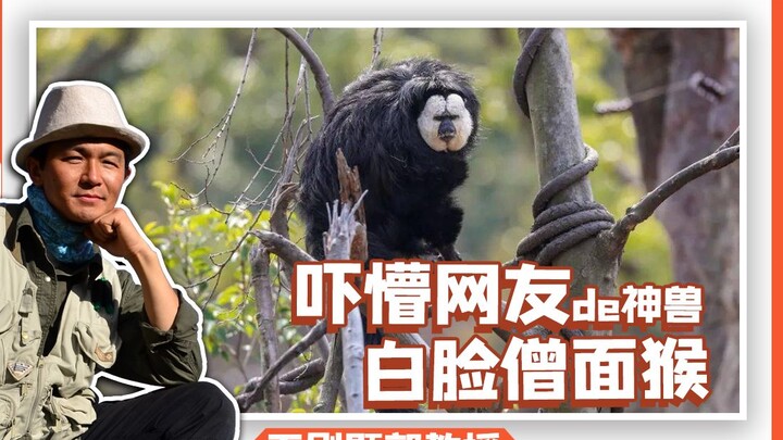 简 单  的 出 来 吓 个 人