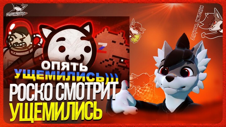 🐺 Роско смотрит КОКАКОЛЯ - УЩЕМИЛИСЬ ИЗ-ЗА РУССКОГО ЯЗЫКА