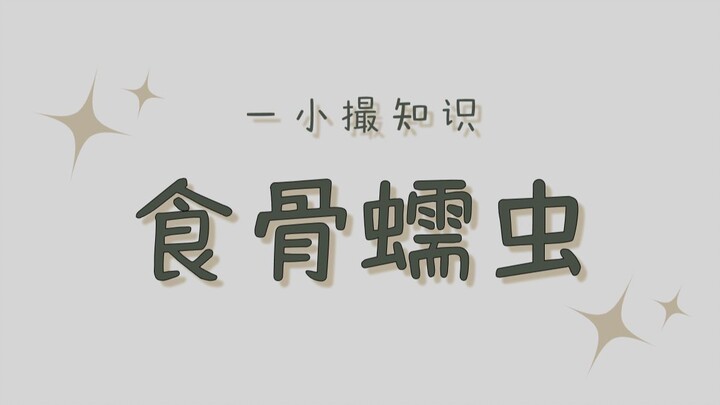 Đây là vị nữ hoàng khiến mọi người phải run rẩy!