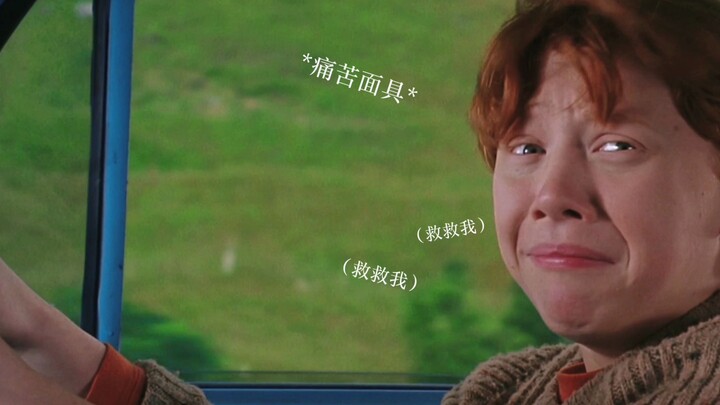 【HP/欢乐向】那些你从未注意过的喜剧罗恩