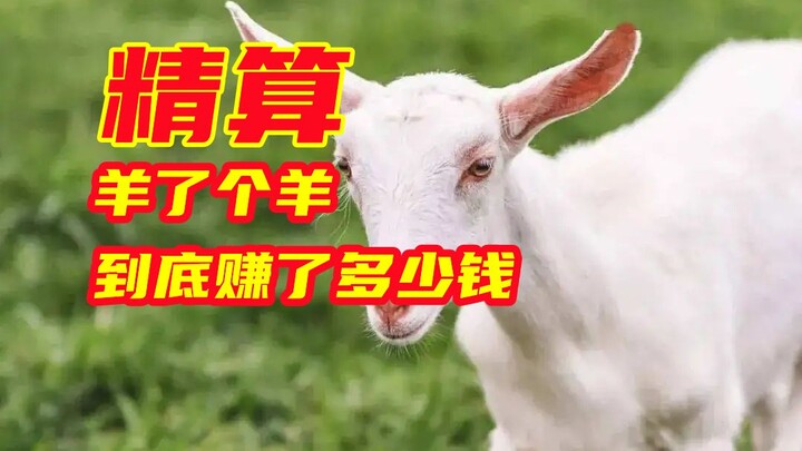 الحساب الدقيق: كم حقّق “يانغ ليه يانغ” من الأرباح بالفعل؟