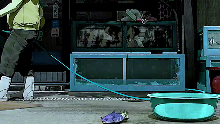 كم عدد أرجل نجم البحر؟ الإجابة الصحيحة هي 50 ساقًا.