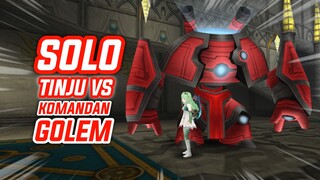 Solo Tinju DPS VS Mini Bos Komandan Golem Sekaligus Tes DMG