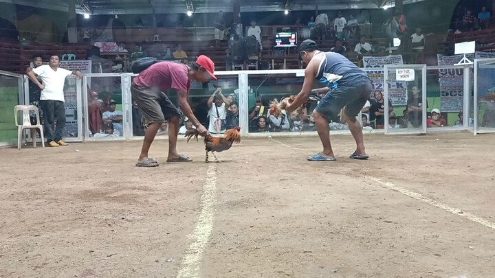 2nd fight LOSE #DONDON