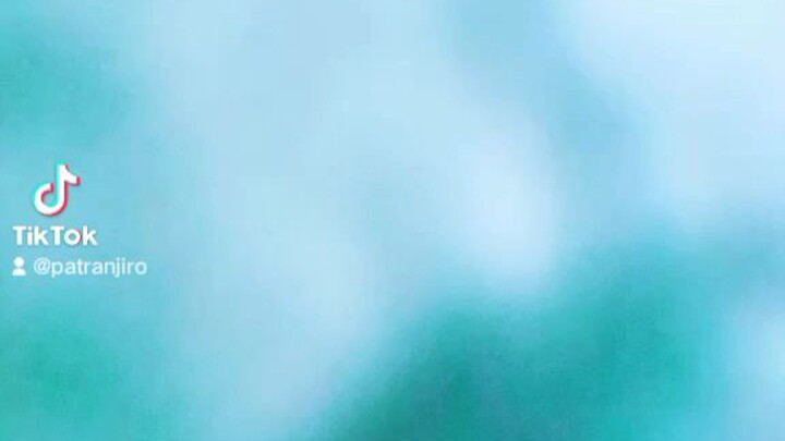 THE PILLAR HASHIRA FOLLOW ME IN TIKTOK🥰