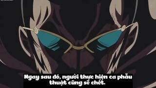 Top 7 Bác Sĩ Vĩ Đại Nhất One Piece p10