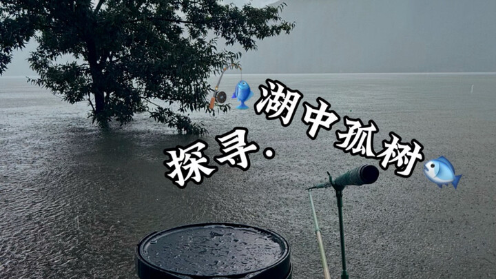 استكشاف الشجرة الوحيدة في البحيرة