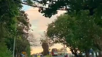 suasana sore hari di watudodol