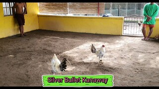 Silver Bullet kanaway