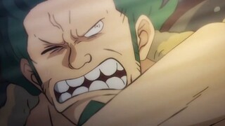 Phân đoạn ngầu của lù và zoro