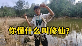 回农村修仙了说是