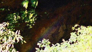 许愿时间到！