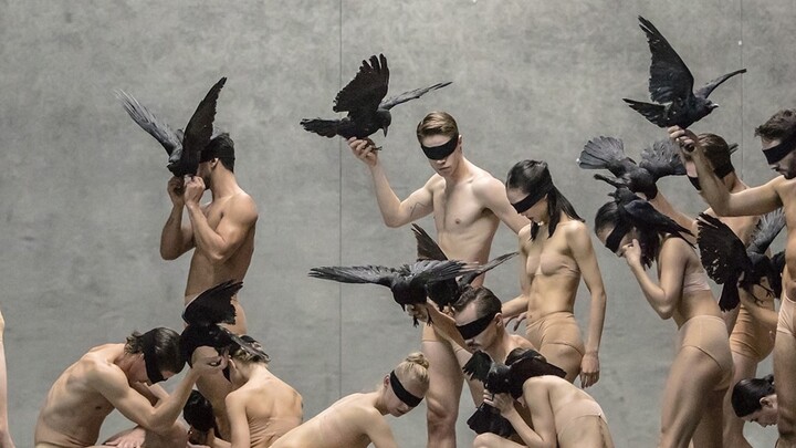 Appreciation of Black Aesthetics｜Zurich Ballet