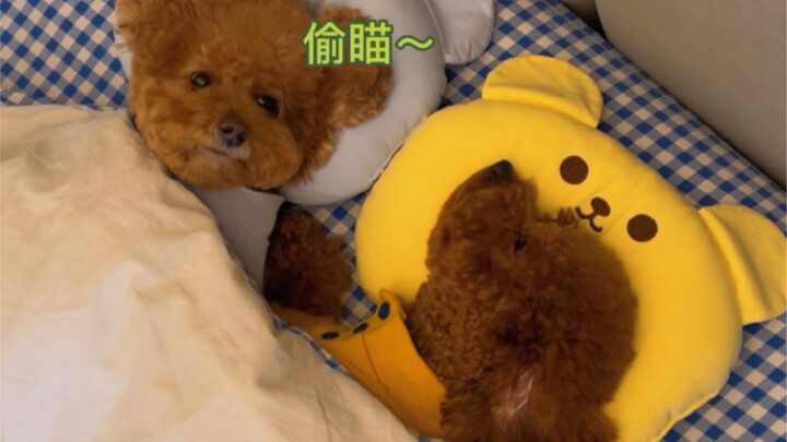 Weekend is bestie meetup day～