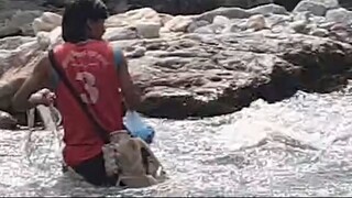 Cast Net Fishing in Nepal | Cast Netting in Small River | Himalayan Trout Fishing |