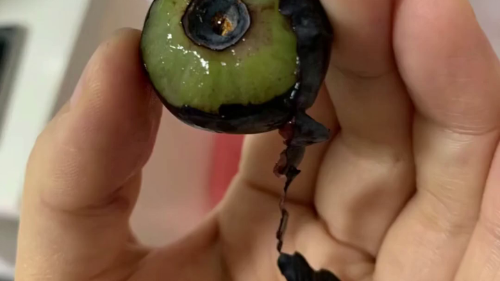 Con trai ăn việt quất, mẹ tự tay gọt vỏ nhưng lại bị chê bai