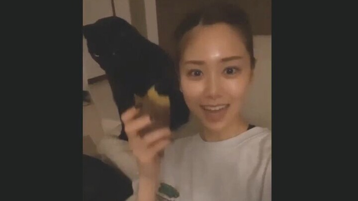 Yaohui, cậu nhanh quay lại gặp vợ cậu đi, tiền bối Yoko của cậu lại điên rồi hahaha!