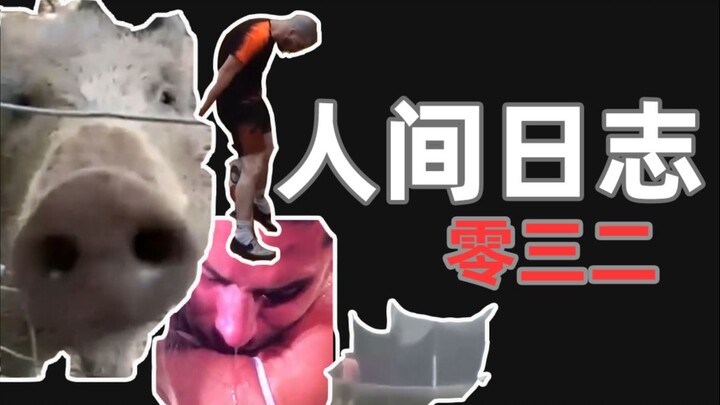 บันทึกการสังเกตของมนุษย์ 032