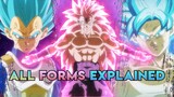 Super Dragon Ball Heroes Anime Exclusive Forms Explained