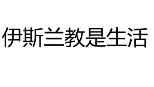 伊斯兰 何为伊斯兰  宣教者如何宣教(360P)